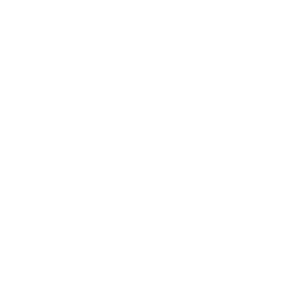 Naboria logo